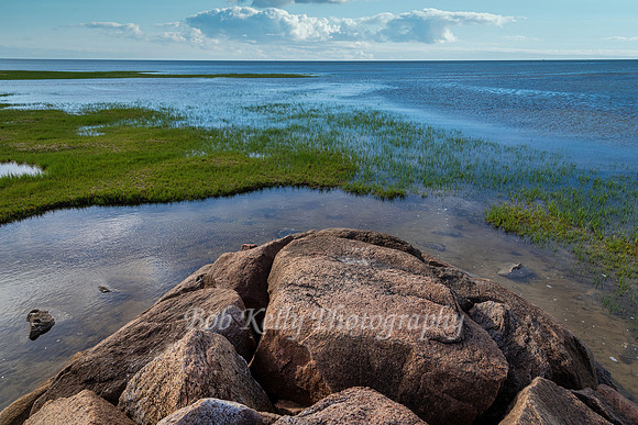 Beachscape-8