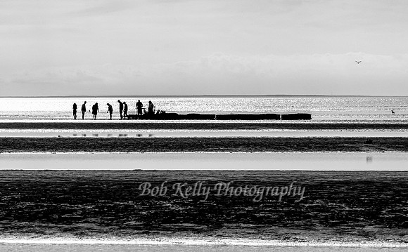 Beachscape-10
