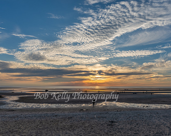 Beachscape-11