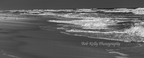 Beachscape-24
