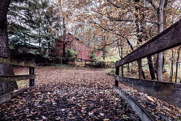 Wyeth County-17