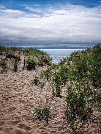 Beachscape-13