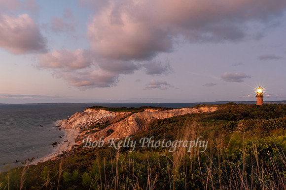 Beachscape-23