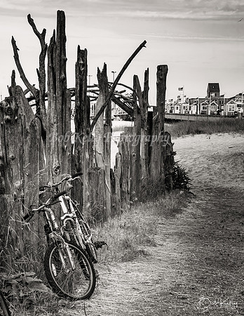 Provincetown Beach Path