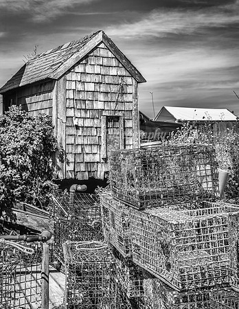 Lobster Shack-4