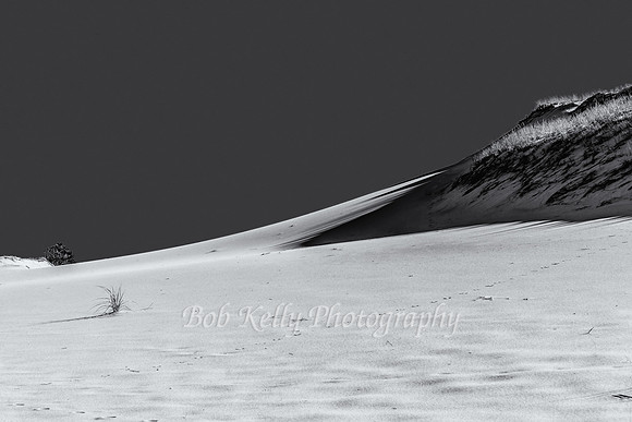 Provinceland Dune-4