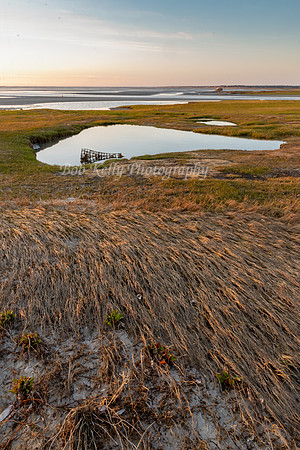 Low Tide-4
