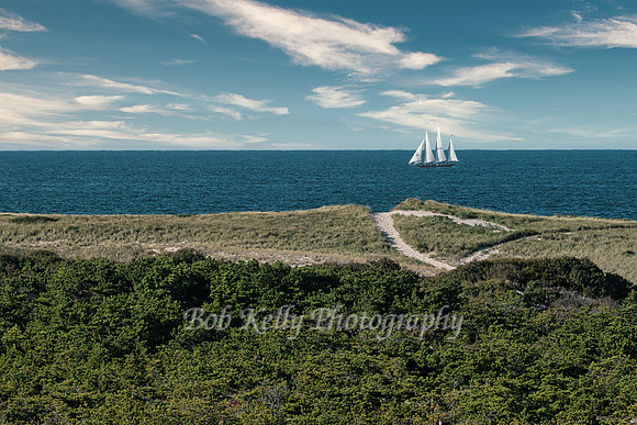 Beachscape-28