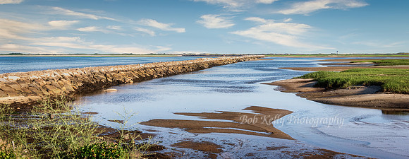 Beachscape-15