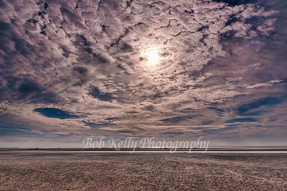 Beachscape-9