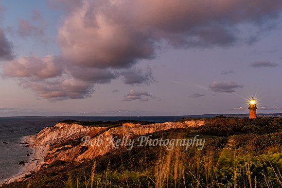 Beachscape-22