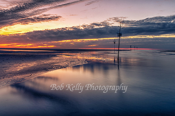 Beachscape-17