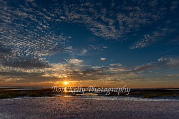 Beachscape-12