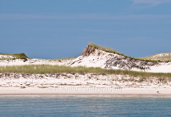 Beach scape-1