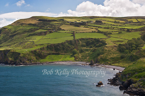 Tor Head