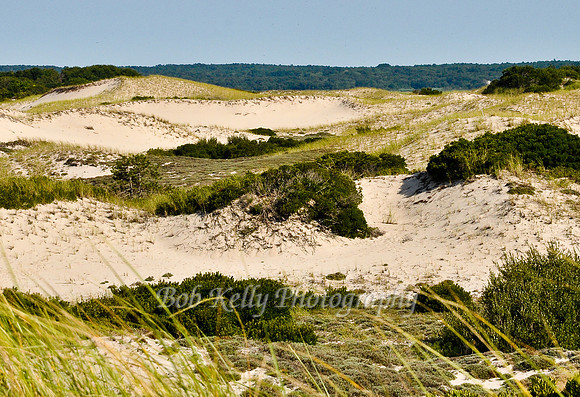 Sandy Neck dunes-2