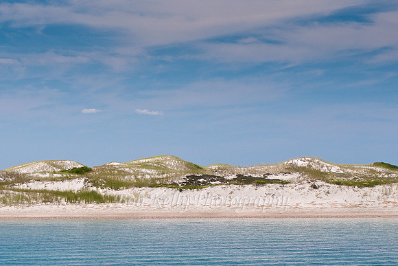 Sandy Neck Dunes